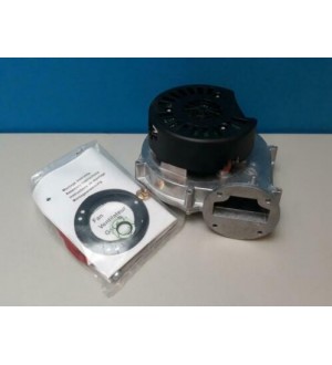 Ventilator met pakking Remeha Avanta RG130/0800-3612-031111